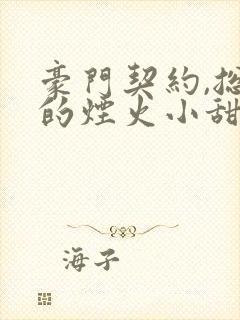 豪门契约,总裁的烟火小甜妻