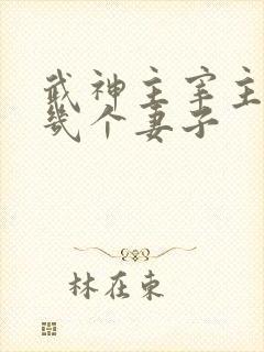 武神主宰主角有几个妻子