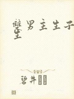 双男主生子文纯生