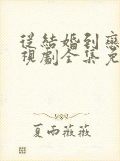 从结婚到恋爱电视剧全集免费观看