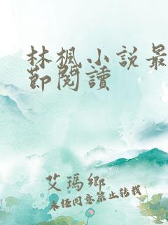 林枫小说最新章节阅读