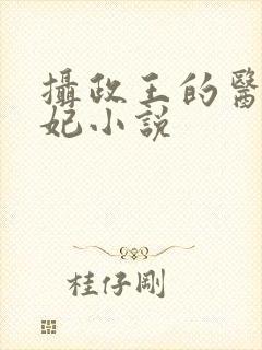 摄政王的医品狂妃小说