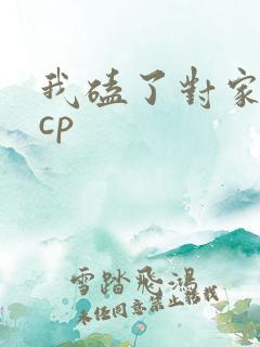 我磕了对家我的cp