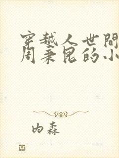 穿越人世间成为周秉昆的小说