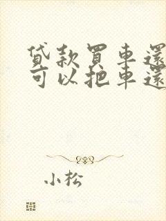 贷款买车还不起可以把车还回去吗