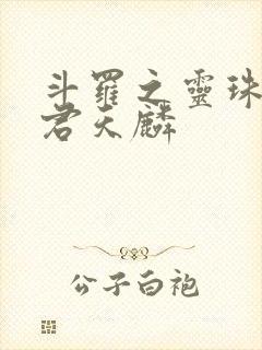 斗罗之灵珠神剑君天麟