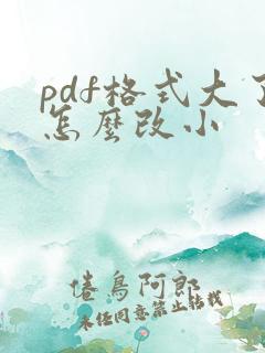 pdf格式大了怎么改小