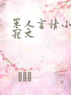 军人言情小说甜宠文