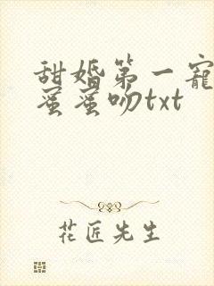 甜婚第一宠总裁蜜蜜吻txt