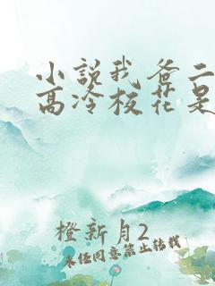 小说我爸二婚,高冷校花是我妹