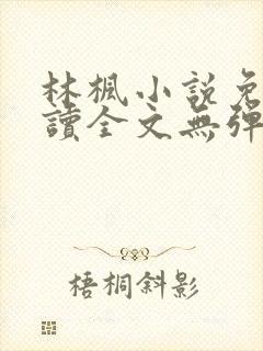 林枫小说免费阅读全文无弹窗