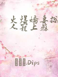 火爆娇妻总裁大人宠上瘾