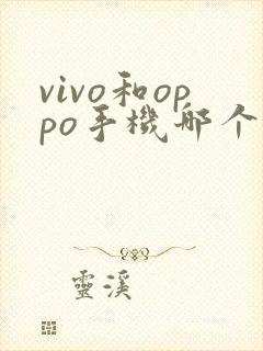 vivo和oppo手机哪个照相好一点
