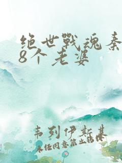 绝世战魂秦南的8个老婆