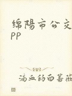 绵阳市公交车app