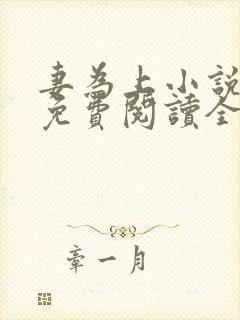 妻为上小说全文免费阅读全文