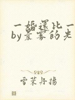 一婚还比一婚高by晨雾的光未删减