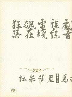 狂飙电视剧40集在线观看免费播放