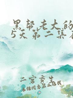 黑帮老大的365天第二集在线看免费