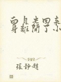 白月光回来后替身离开了小说免费