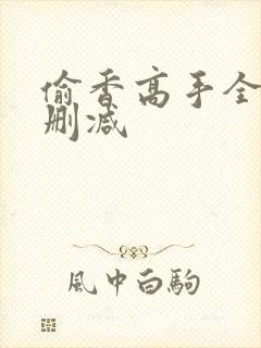 偷香高手全文无删减