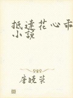 抵达花心乖总裁小说