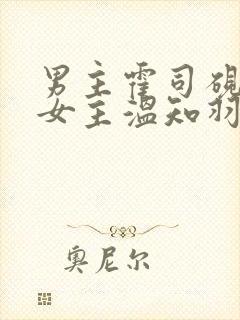 男主霍司砚律师女主温知羽的小说