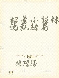 招惹小说林清然沈执结局