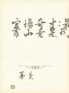 官场奇才:最强靠山竟是我自己李霖小说最