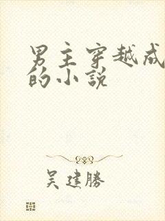 男主穿越成反派的小说