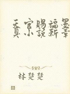 天官赐福墨香铜臭小说新章节列表