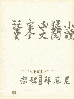 玩家凶猛小说免费全文阅读