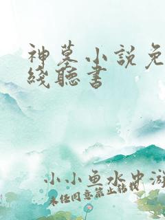 神墓小说免费在线听书