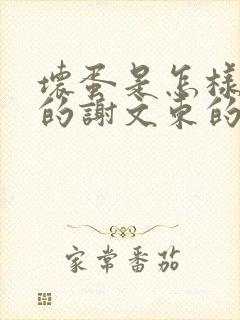 坏蛋是怎样炼成的谢文东的小说