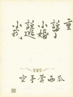 小说小说重生后我逃婚了