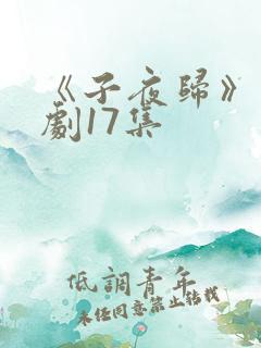 《子夜归》电视剧17集