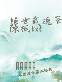 绝世武魂笔趣阁陈枫txt