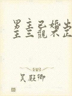 男主已婚出轨女主三观不正小说