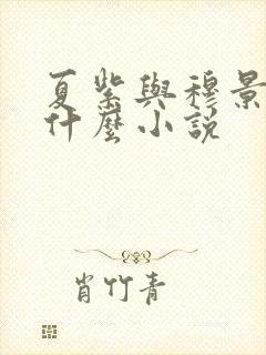 夏紫与穆景天叫什么小说