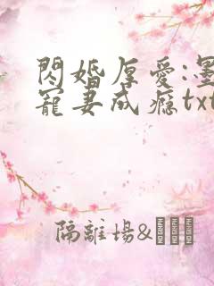 闪婚厚爱:墨少宠妻成瘾txt下载