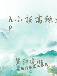 h小说高辣文np