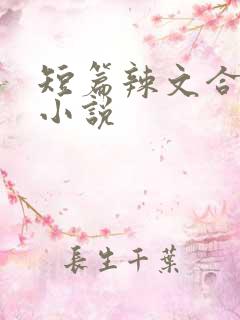 短篇辣文合集的小说