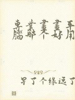 专业画画平板电脑哪个好用