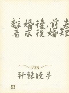 离婚后,前夫哭着求复婚短剧