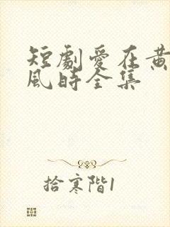 短剧爱在黄昏晚风时全集
