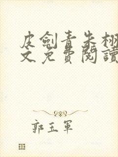 皮剑青朱栩诺全文免费阅读无弹窗