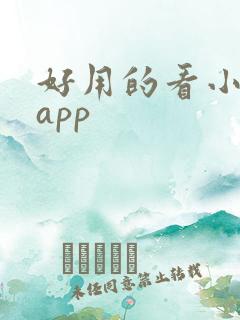 好用的看小说的app