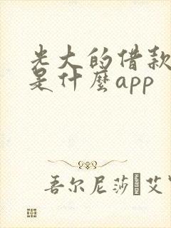 光大的借款平台是什么app