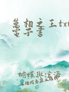 万相之王txt电子书