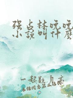 强占林晚晚原著小说叫什么名字